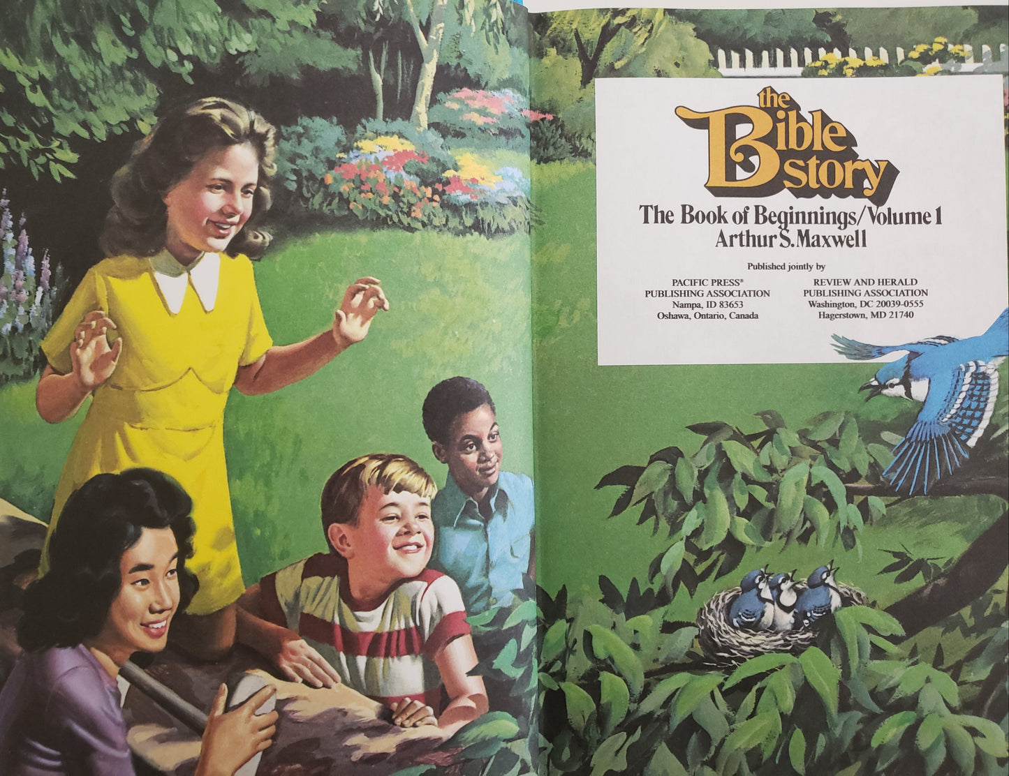 Arthur S. Maxwell's The Bible Story – 10 Volume Children's Book Set